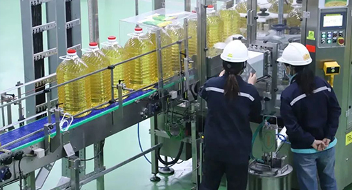 河北嘉好5000噸大豆項(xiàng)目投產(chǎn)