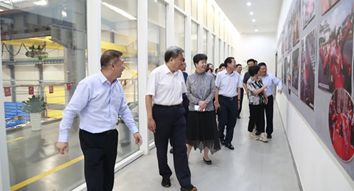 商務(wù)部市場體系建設(shè)司司長周強一行蒞臨邁安德調(diào)研指導